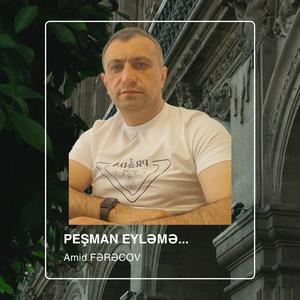 Sevdiyimə peşman eyləmə