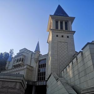 陪我长大