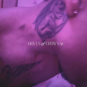 Doves & Crows