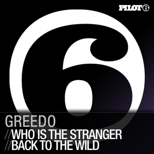 Who Is The Stranger (Original Mix)