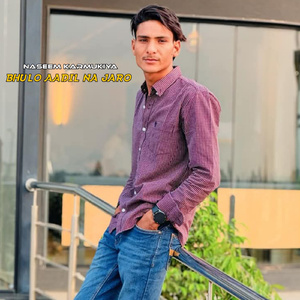 Bhulo Aadil Na Jaro