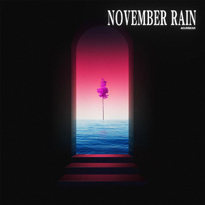 NOVEMBER RAIN