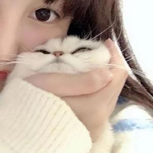 轻轻_13