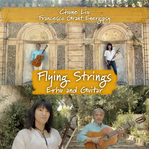 ヴィヴィミ (Cover)