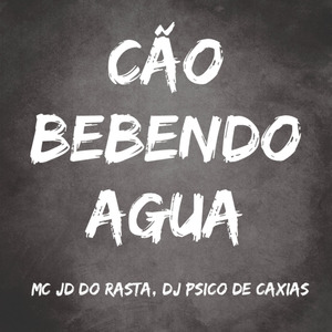 Cão Bebendo Agua