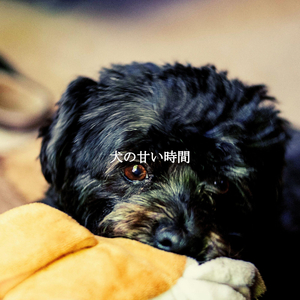 Magical (Recharging Days)