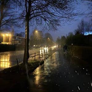 多想留在你身边