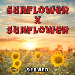 Sunflower X Sunflower (Slowed Mashup)