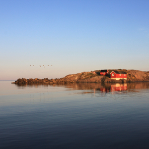 Best Of Me (feat. Fredrik Tibblin & Jörgen Karlsson)