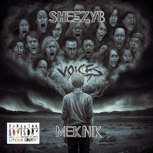 Voices (feat. Meknik)