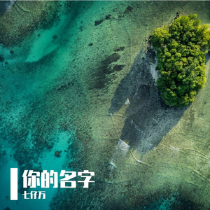 共度一生的心意