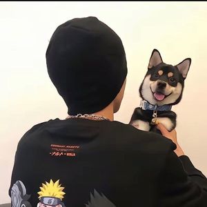 晚风x花太阳雨和你