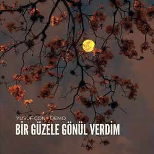 Bir Güzele Gönül Verdim (Demo)