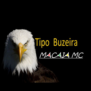Tipo Buzeira