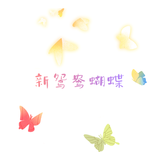 新鸳鸯蝴蝶梦