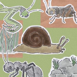 ant