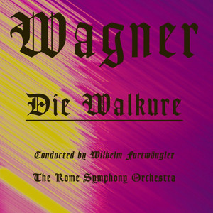 Die Walkure, Act II: Scene 2, Schlimm, furcht' ich, schloss der Streit