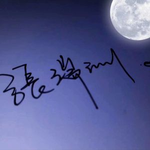 躁郁的倾向Rem1x