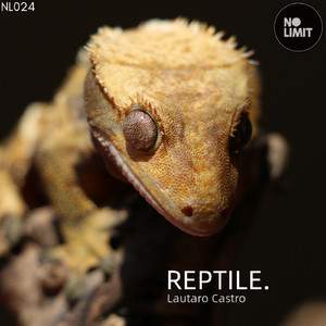 Reptile (Original Mix)