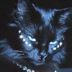 Free "链接" UK Garage Type Beat