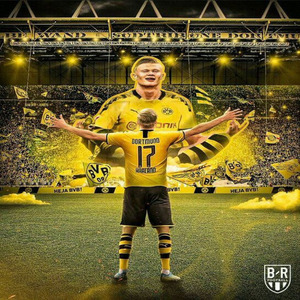 Der Haaland (Haaland Haaland)