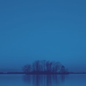 抚慰的在家休息回忆