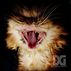 Fall Forward (Remastered)