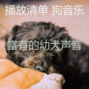 抚慰的训练你的狗回忆