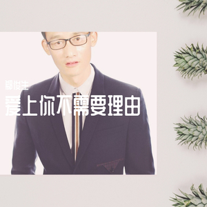 爱上你不需要理由