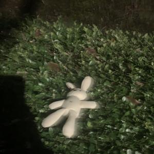 谁（翻自 廖俊涛）