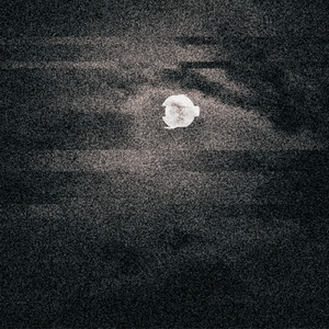 小夜曲