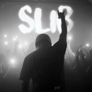 SLIB