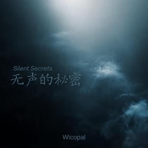 无声的秘密 (Silent Secrets)