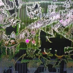 сколько мы напулили