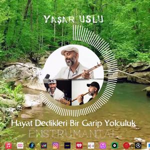 Hayat Dedikleri Bir Garip Yolculuk (Enstrumantal)