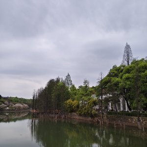 你是我跪着求来的风_转换