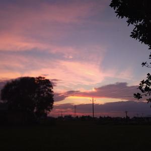 我在昨天的梦里又看见了你