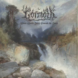 Ode to the Thirsty Forest