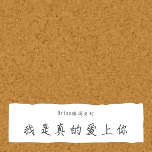 我是真的爱上你