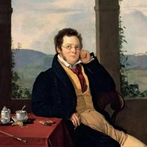 舒伯特：希尔维亚是谁（沉浸无损钢琴曲）