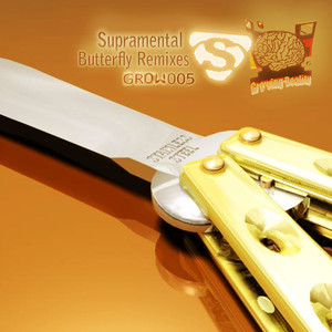 Butterfly feat. Jeneva (Cheise Remix)