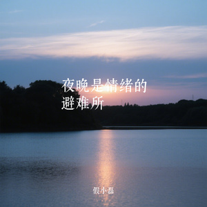 夜晚是情绪的避难所