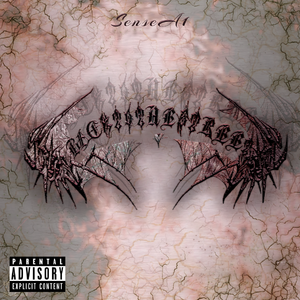 Back To The Street Freestyle