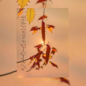 千秋 （民族文化宫）