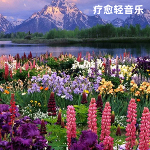 心灵之光（吉他版）轻音乐・拥抱美好的憧憬曲调