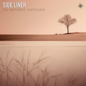 No Vember (Astral Nectar)