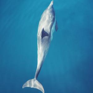 I have to get through this door