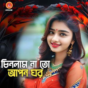 চিনলাম না তো আপন ঘর