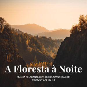 A Floresta à Noite