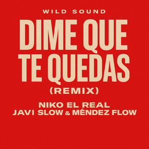 Dime Que Te Quedas (Remix)